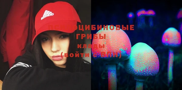 экстази Алексеевка