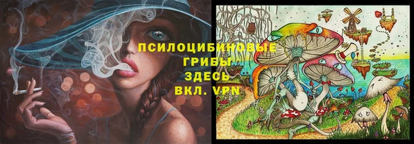 спиды Алзамай