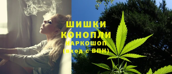 бошки Алексин