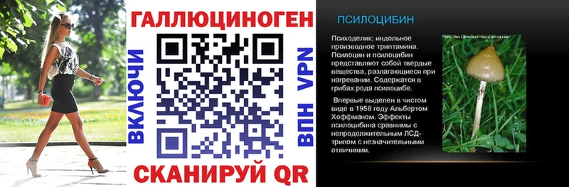 Псилоцибиновые грибы Cubensis  Муравленко 