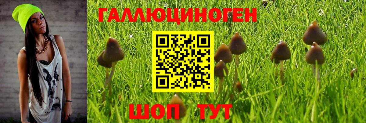 Псилоцибиновые грибы мицелий  Вход с VPN  Муравленко 